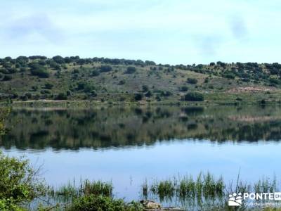 Embalse Pedrezuela; ruta a pie madrid; rutas la pedriza senderismo; foro de senderismo